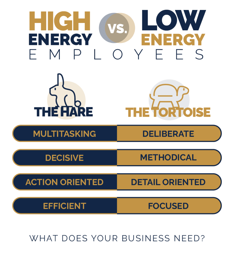 hare-vs-tortoise-infographic